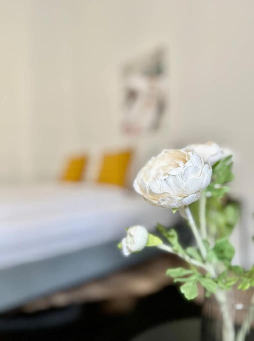 Standard By Hi5 - Tiny Studio * Budapest
